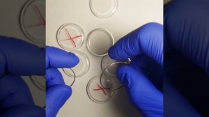 Замена стекла на Восток Амфибия/Восток Командирские