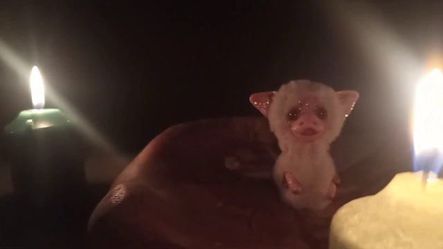 Защита и везение. Ритуал, который изменит вашу жизнь!