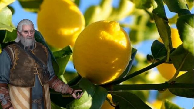 Народные рецепты с лимоном. 18 народных рецептов смотреть онлайн