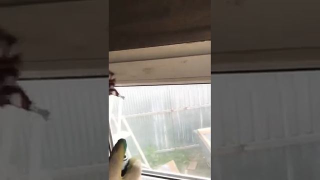 Шок!!! Как смыть следы от скотча? смотреть онлайн