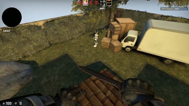 МОРКОВКЕ НЕ СКРЫТЬСЯ! МОРКОВКА VS ТРОЛЛЬ БАГЗ БАННИ В CSGO смотреть онлайн