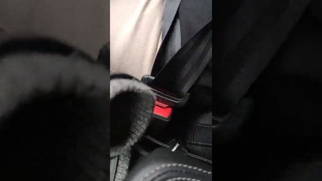 Skoda Octavia 2020, Combi 1.5 TSI Style ERRORS 1 - series of videos on channel. смотреть онлайн