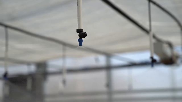 Биотех было-стало 2 смотреть онлайн