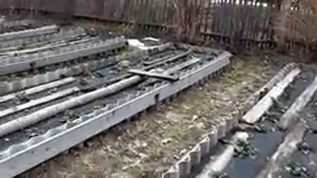 Получили деньги с ютуба, за них купили подарок сыну, пробили березовый сок. смотреть онлайн