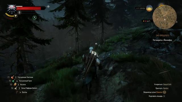 Прохождение Ведьмак 3: Дикая Охота (The Witcher 3: Wild Hunt) — Часть 25: Керис И Демон Хим смотреть онлайн
