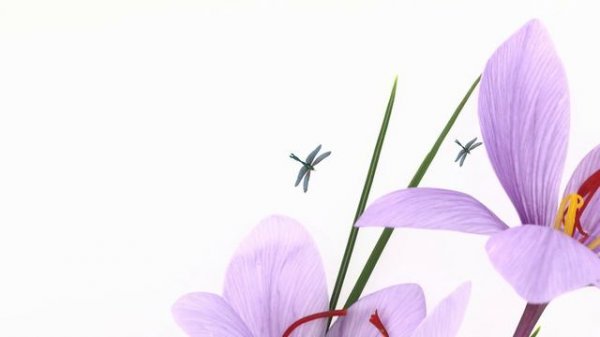 Cat Games | Ultimate Cat TV Compilation Vol 16 | 2 HOURS 🐝🐞🦋🦎🦜🐜🐭🧵