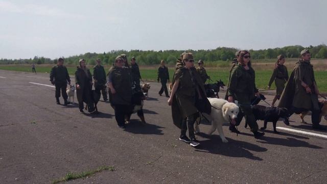 "Собачий Полк" (1) смотреть онлайн