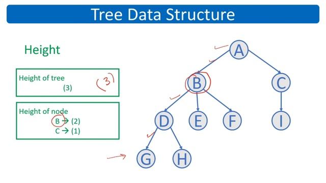 Tree Data Structure | Binary Tree | Sinhala смотреть онлайн