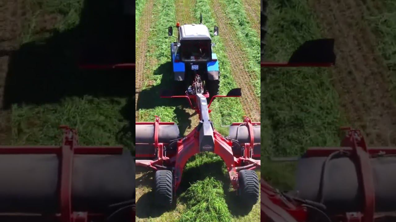 Кормозаготовка. Ленточный валкообразователь в поле #сельхозтехника #фермер #трактор #агробизнес смотреть онлайн