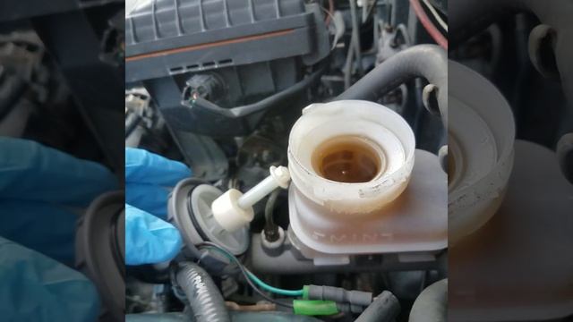 Brake Fluid Low Check This First