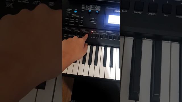 Yamaha PSR - EW425 Sampling смотреть онлайн
