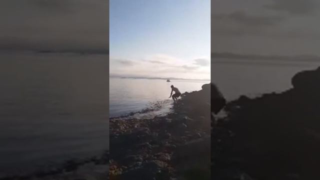 Sinop'ta Karadeniz'in eşsiz manzarası Adabaşında Turkey #sinop #turkey2022 #karadeniz #travelturkey смотреть онлайн