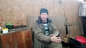 Что делать и как себя вести при отеле коров.