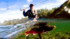 На что ловить усача