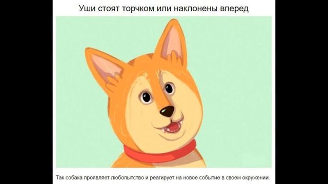 Семейные рецепты десертов