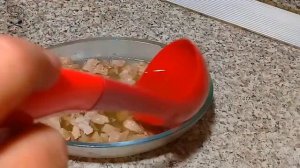 ЗАЛИВНОЕ ИЗ СВИНИНЫ__эффектное и очень вкусное блюдо