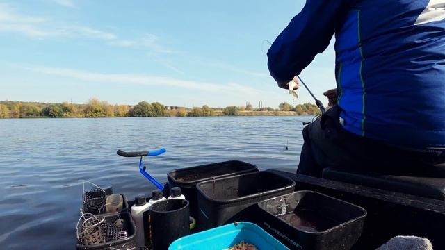 Рыбалка на фидер ОСЕНЬЮ. Какой корм ЛУЧШЕ. ФИДЕРНЫЙ монтаж. FeederfishingTv. Vlog#54 смотреть онлайн