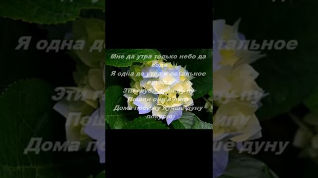 максим-одиночка смотреть онлайн