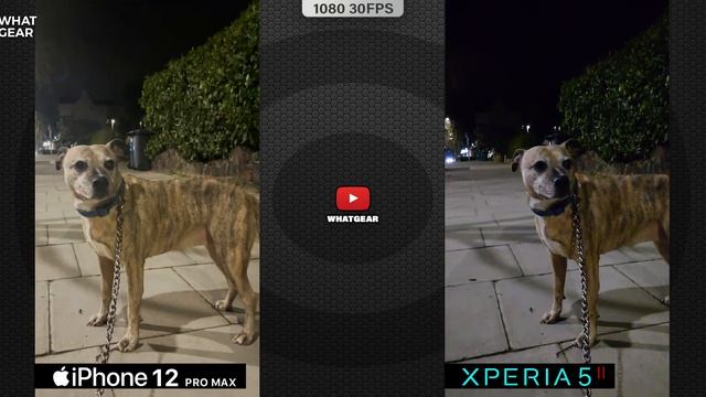 Xperia 5 ii Vs iPhone 12 Pro Max Vs Photo Pro App - Camera Comparison Low Light Shoot-out! смотреть онлайн