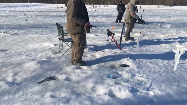 Зарыбление форели, форелевая рыбалка РК «Фишка» Петряиха смотреть онлайн