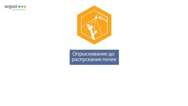 Профилактин и Бордоская жидкость - ранневесенняя защита сада от вредителей и болезней. смотреть онлайн