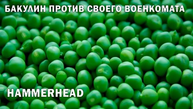 Бакулин против своего военкомата смотреть онлайн