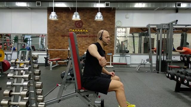 Махи гантелями сидя на среднюю дельту. Индивидуальное составления программы тренировок 89852258478 смотреть онлайн