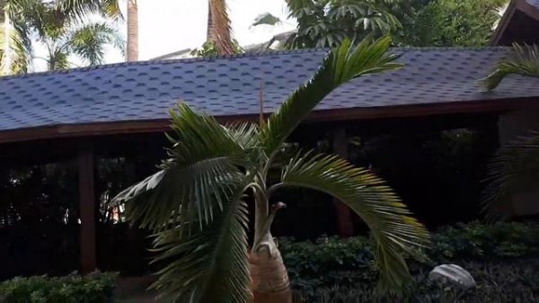 Отель RoEasy Hospitality Hotel Sanya 4*