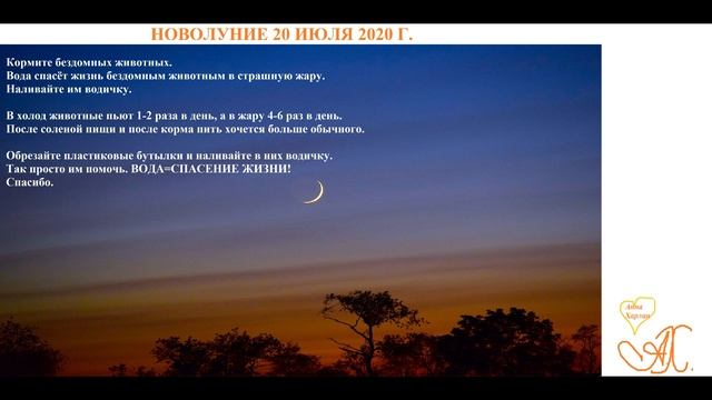 Новолуние 20 июля 2020 года для всех Знаков Зодиака! смотреть онлайн