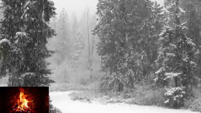 НОВОГОДНЕЕ ПОЖЕЛАНИЕ ОТ ПЕТРОВИЧА смотреть онлайн