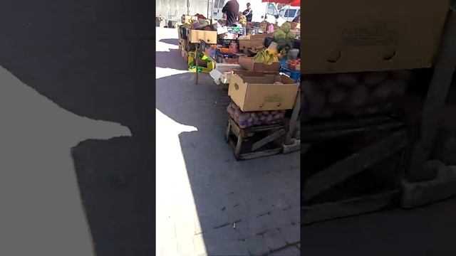 Геническ цены на рынке 8 мая 2022 смотреть онлайн