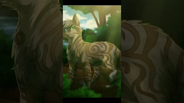 эдит:кто ты из кв по зз #коты #cat #warrior #котывоители #рек #хочювреки смотреть онлайн