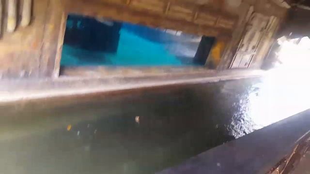 Ushaka Marine World (Part 1) смотреть онлайн
