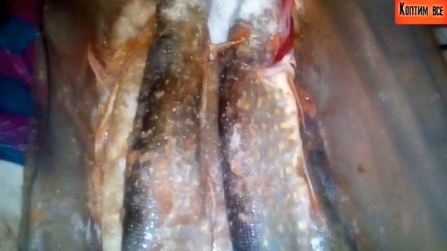 ?Как коптить щуку с икрой? смотреть онлайн