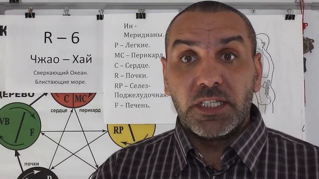 Лечим Инские Меридианы смотреть онлайн