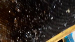 Делаем МОЛЯРИЙ для зимовки восковой моли