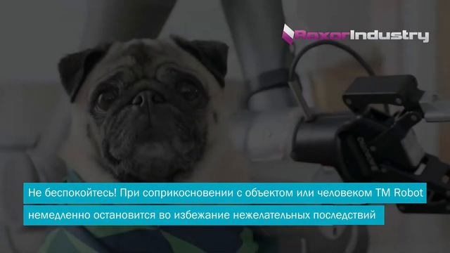 День Q-Bi c коботом TM Robot (с коллаборативным роботом TM5, Techman Robot) смотреть онлайн