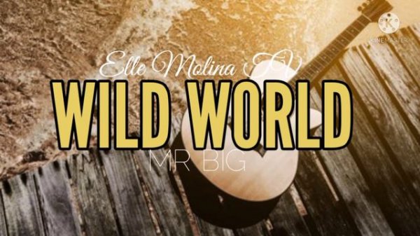 Wild World by Mr Big #MrBig #WildWorld