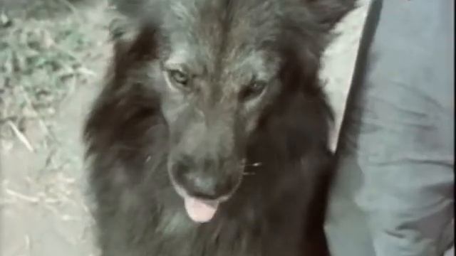 1964 - Клёва не было смотреть онлайн