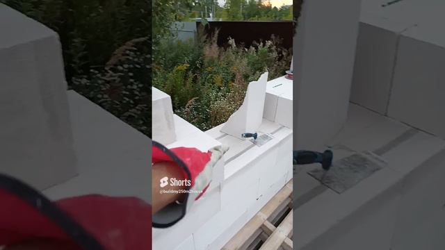 шмалю газик ряд за рядом, к октябрю должен успеть смотреть онлайн