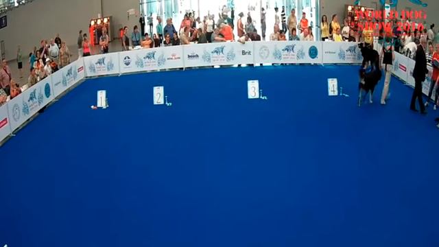 WDS 2016 Хотошо смотреть онлайн