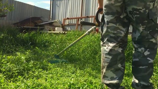 жизнь вне орхидей 32. с орхидейным котом побрили огород! смотреть онлайн