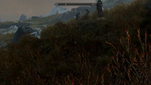 Skyrim SE 82 Let's Play Deutsch Wetttrinken mit Sam Guenvere und katastrophalen Folgen. смотреть онлайн