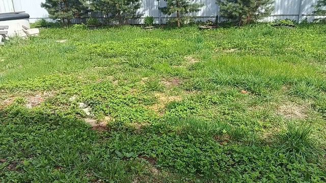 Сравнение stihl fs 450 и stihl fs 450k смотреть онлайн