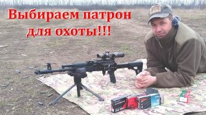 Подбираем лучший патрон для охоты к карабину Сайга-308 исп.61