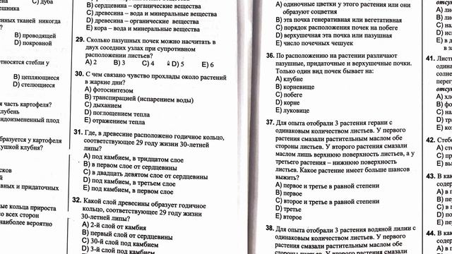 ?Тест банк вегетативные органы, стебель, лист, воздушное питание растений 1~44 вопросы? смотреть онлайн