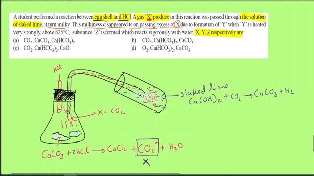 MCQ | A student performed reaction betwen eggcell and HCl. find out X,Y,Z formed during reaction. смотреть онлайн