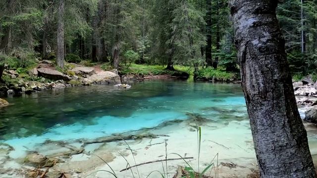 Музыкальные Дуэты и Коллаборации