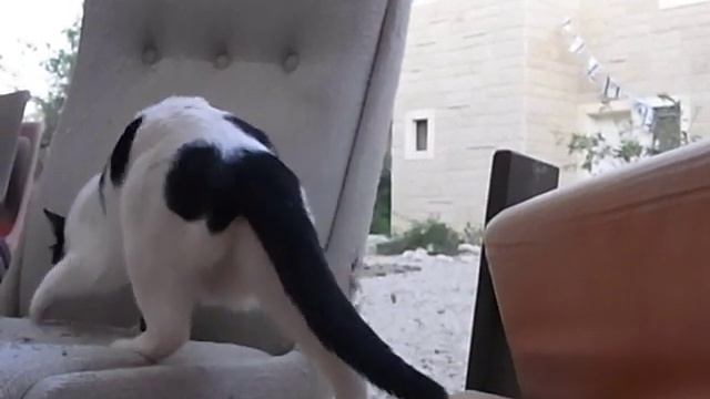 Ricoh CX1 slow motion demonstration смотреть онлайн