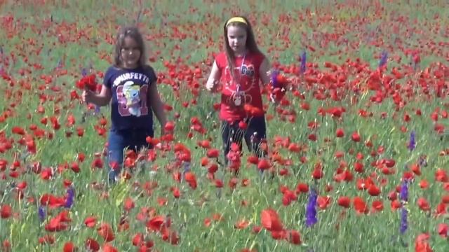 МАКОВОЕ ПОЛЕ ВИДЕО ДЛЯ ДЕТЕЙ/ Field Of Poppies
